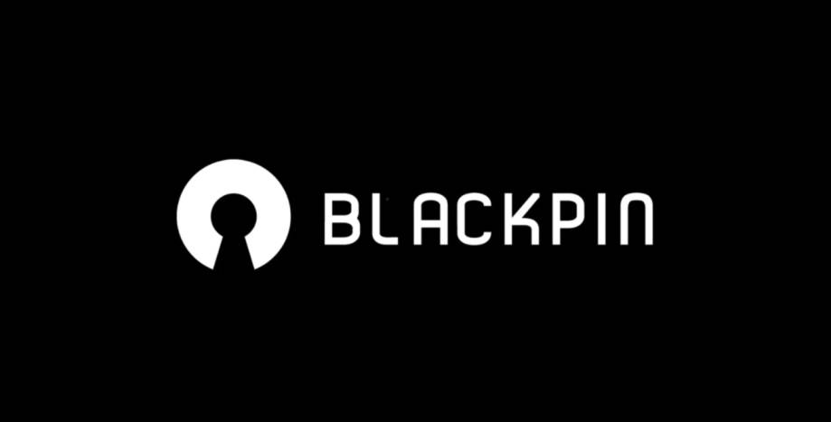 Mehr Fokus, weniger Konflikte – wie die BlackPin GmbH ihre Zusammenarbeit deutlich beschleunigte